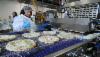 /ext/galleries/december-s-frozen-products-issue-nation-pizza-and-foods-schaumburg-il/full/VJP_8725.jpg