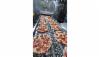 /ext/galleries/december-s-frozen-products-issue-nation-pizza-and-foods-schaumburg-il/full/VJP_8872.jpg
