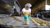 /ext/galleries/january-s-bakery-feature-and-redesign-kickoff-issue-labriola-baking-co-alsip-il/full/VJP_6304.jpg