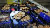 /ext/galleries/january-s-bakery-feature-and-redesign-kickoff-issue-labriola-baking-co-alsip-il/full/VJP_6761.jpg