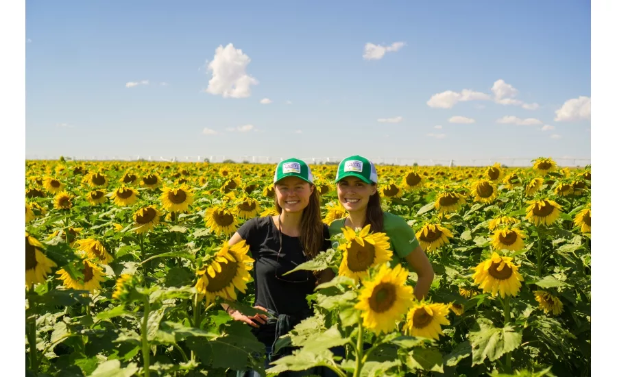 Colorado-Mills---Sunflower-Oil---3.jpg