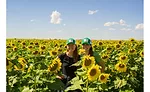 Colorado-Mills---Sunflower-Oil---3.jpg