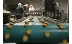 Sandwich-Crackers.jpg