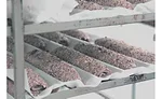 IBR-PROOFING.jpg