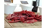 DSC01468.jpg