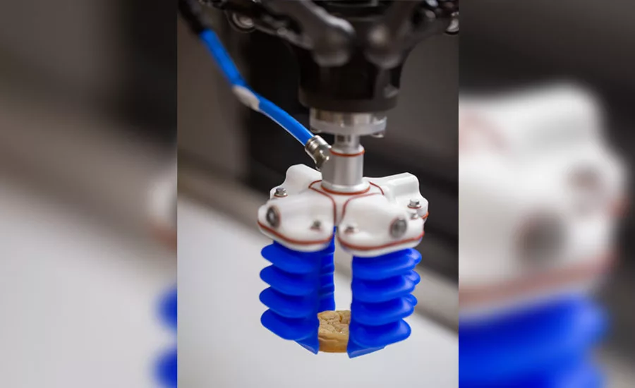 SFWB_Packaging_0819_slideshow13_softrobotics.jpg