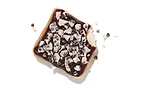 Hersheys-Cookies-N-Creme-Donut-2.jpg
