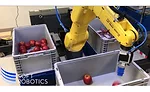 Soft Robotics