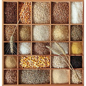 Great grains in the Hispanic world