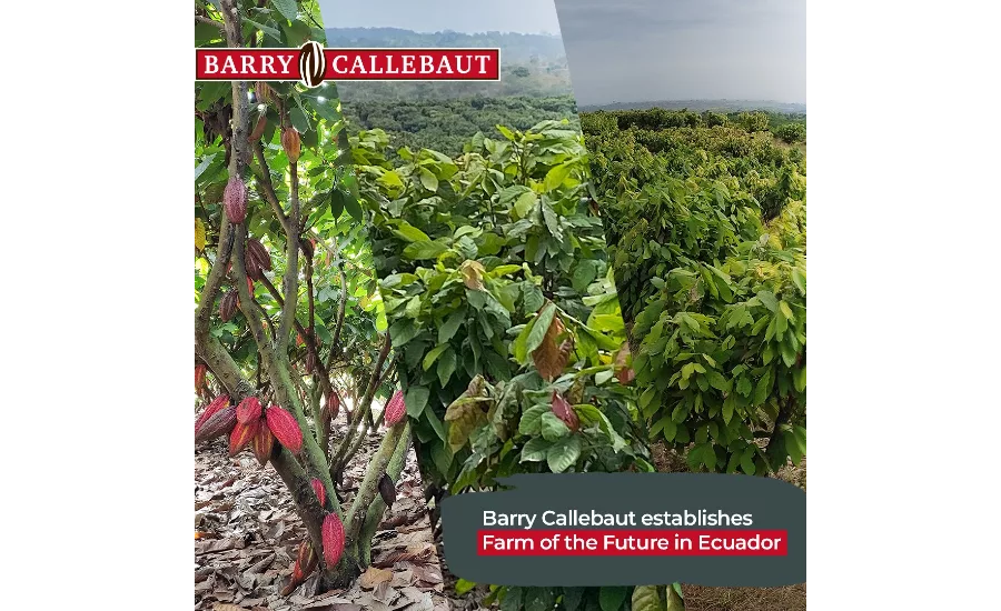 Barry Callebaut establishes Farm of the Future to power cocoa farming research and innovation