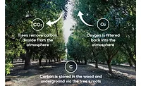 Reframing food waste: Tackling the big picture with almonds Reframing food waste: Tackling the big picture with almonds