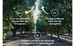 Reframing food waste: Tackling the big picture with almonds
