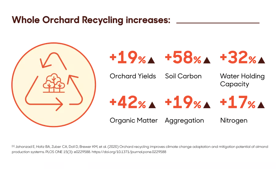 Reframing food waste: Tackling the big picture with almonds
