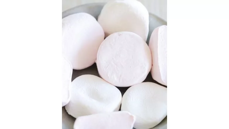 Alland & Robert debuts vegan texture agent based on gum acacia