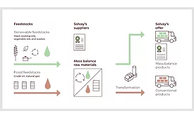 Solvay debuts first ISCC PLUS Certified Mass Balance Vanillin
