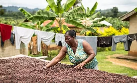 Fairtrade launches map to identify human rights, environmental risks for major commodities