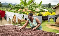 Fairtrade launches map to identify human rights, environmental risks for major commodities