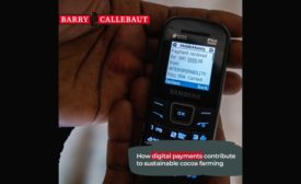 Barry Callebaut: How digital payments contribute to sustainable cocoa farming
