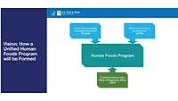 FDA suggests restructuring food safety efforts into new human foods program