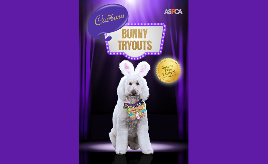 Cadbury Bunny tryouts return for 5th year with spotlight on rescue pets