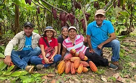 Luker Chocolate: Women empowering women through digital transformation