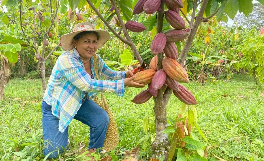 Luker Chocolate: Women empowering women through digital transformation