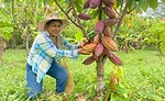 Luker Chocolate: Women empowering women through digital transformation