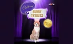 Cadbury selects a cat as the winner of the 5th Annual Bunny Tryouts