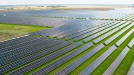 Nestlé takes on Ganado, Texas solar project investment