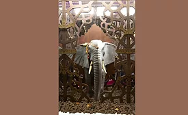 Lluc Crusellas, winner of WCM 2022, to debut chocolate elephant at Harrods