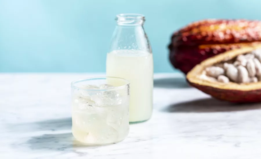 Cabosse Naturals talks tackling food waste by upcycling cacaofruit
