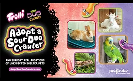 'Adopt' a Sour Duo Crawler for National Pet Day