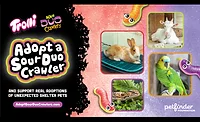 'Adopt' a Sour Duo Crawler for National Pet Day 'Adopt' a Sour Duo Crawler for National Pet Day