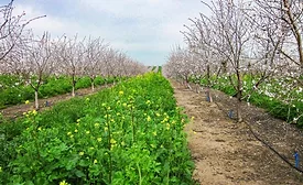 Barry Callebaut Region Americas forges partnerships to make sustainable chocolate the new normal