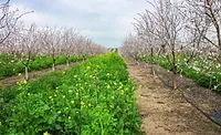 Barry Callebaut Region Americas forges partnerships to make sustainable chocolate the new normal Barry Callebaut Region Americas forges partnerships to make sustainable chocolate the new normal
