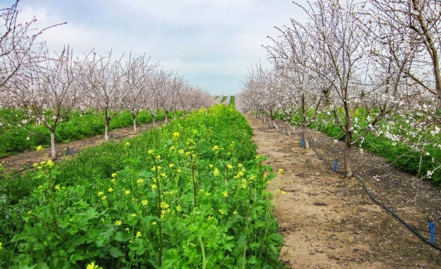 Barry Callebaut Region Americas forges partnerships to make sustainable chocolate the new normal