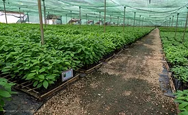 Barry Callebaut sharpens sustainability targets