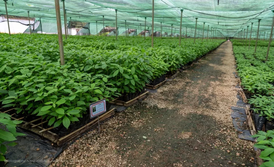 Barry Callebaut sharpens sustainability targets