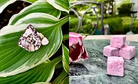 Bell Flavors & Fragrances Sweets & Snacks Expo 2023 flavors