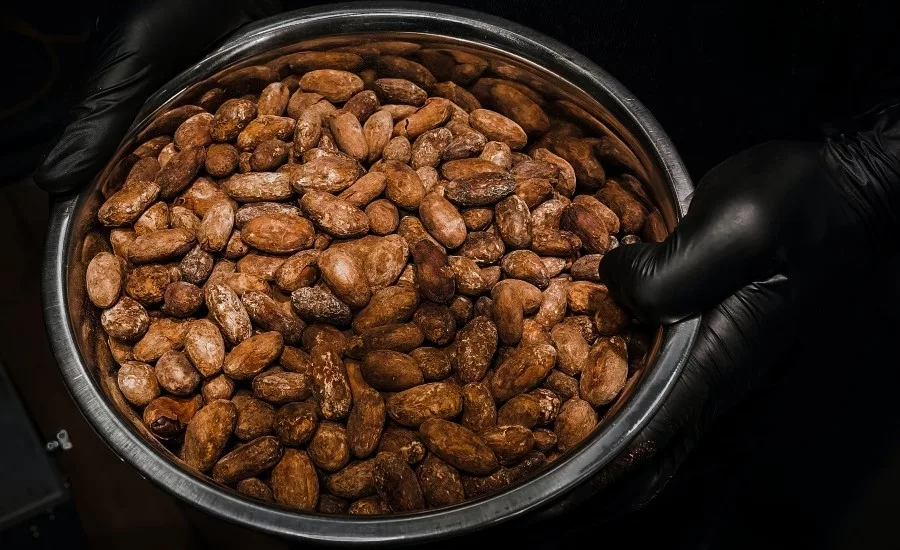 Interview: Raw sugar and cocoa prices reach nearly 10-year highs