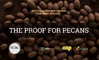 The proof for pecans: why this supernut is trending in food innovation The proof for pecans: why this supernut is trending in food innovation