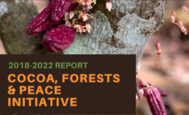 World Cocoa Foundation partner Alisos debuts Cocoa, Forests, & Peace Initiative Report