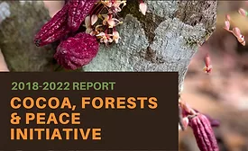 World Cocoa Foundation partner Alisos debuts Cocoa, Forests, & Peace Initiative Report