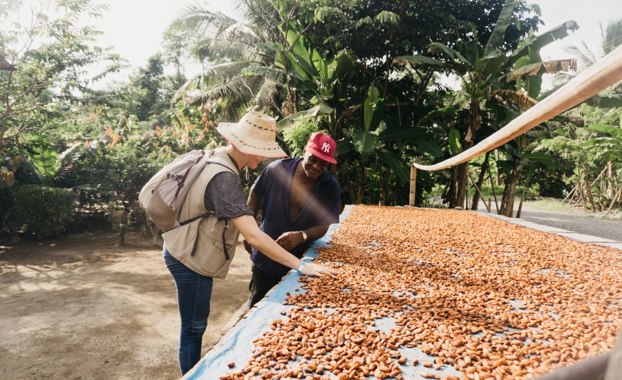 Luker Chocolate expands its sustainability plan into new Colombian territory