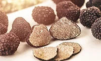 Next-generation sweet protein unearthed from fungi Next-generation sweet protein unearthed from fungi