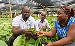 Cargill on sustainability, its Cargill Cocoa Promise, and new ingredients