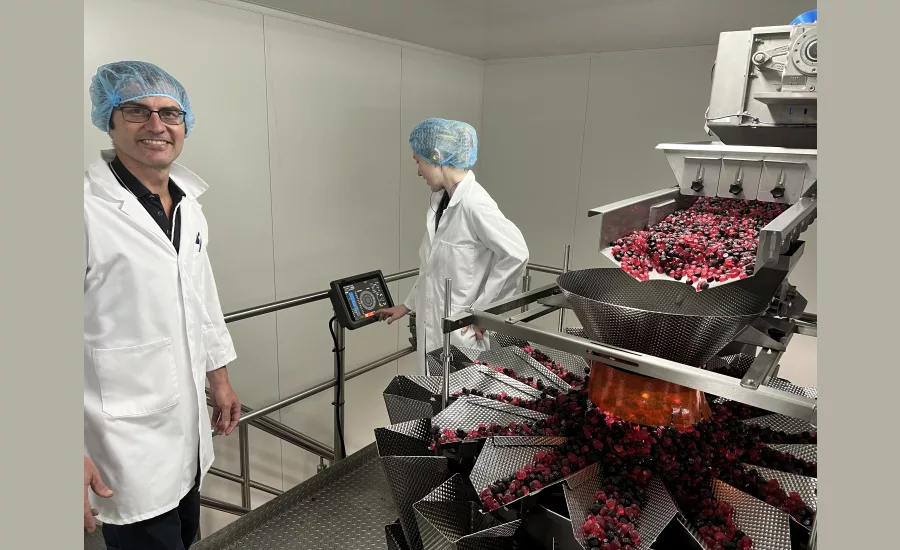 Kingsway Confectionery increases capacity by 50% with help from tna