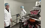 Kingsway Confectionery increases capacity by 50% with help from tna