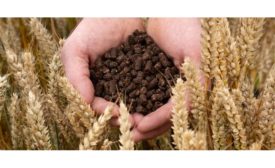 Nestlé announces pilot to transform cocoa husks into low-carbon fertilizer