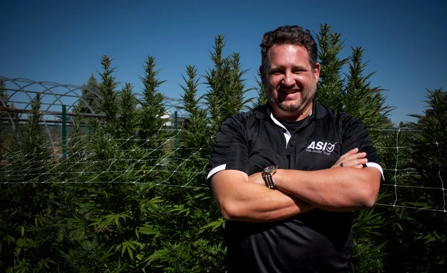 Interview: Ensuring quality in the cannabis candy edibles sector